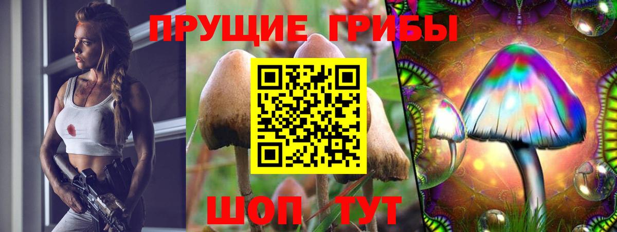 Галлюциногенные грибы Psilocybine cubensis Новомосковск