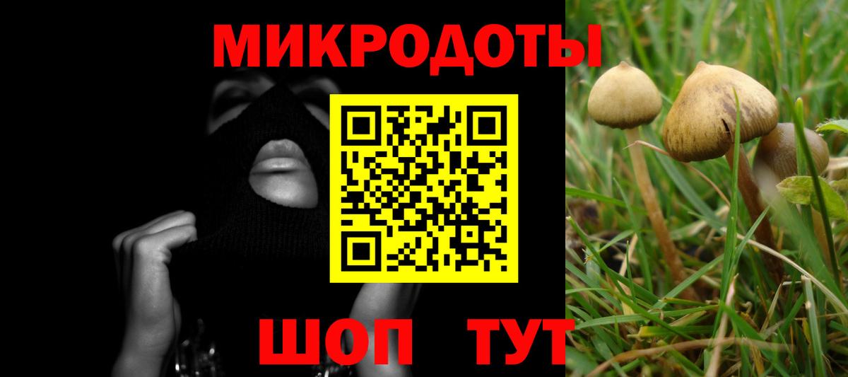 Новомосковск  Псилоцибиновые грибы Cubensis  Вход с VPN  Галлюциногенные грибы GOLDEN TEACHER 
